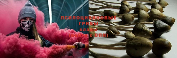 дживик Аркадак