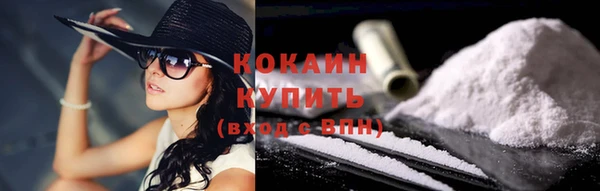 дживик Аркадак