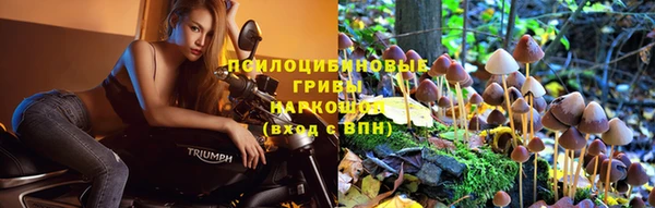mdpv Арсеньев